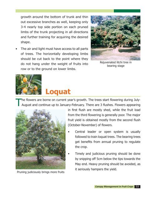 canopy management in fruit crops - Department of Agriculture & Co ...