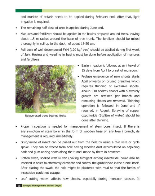 canopy management in fruit crops - Department of Agriculture & Co ...