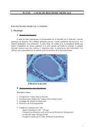 Exploration biochimique de la thyroïde - Santé Nantes - Université ...