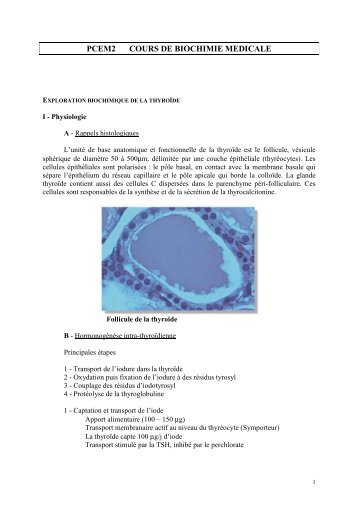 Exploration biochimique de la thyroïde - Santé Nantes - Université ...