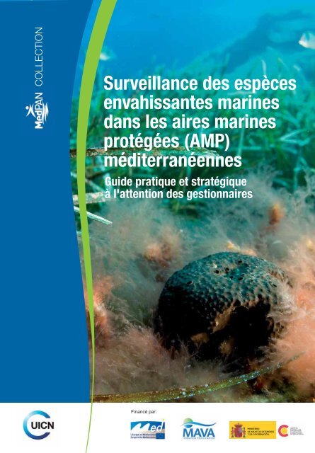 Surveillance des espèces envahissantes marines dans les ... - IUCN