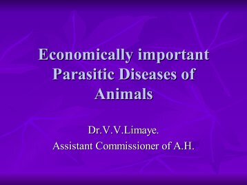 Economically Important Parasitic Diseases of animals (10794.94 KB)