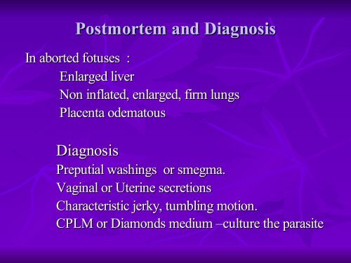 Economically Important Parasitic Diseases of animals (10794.94 KB)