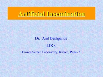 Artificial Insemination (3413.15 KB)