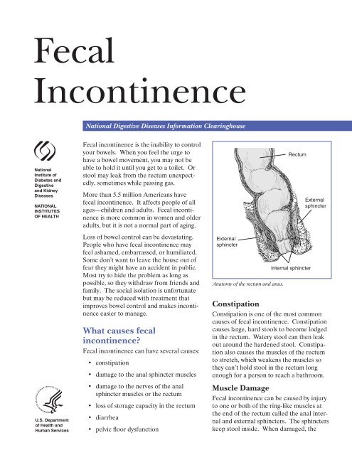 Fecal Incontinence Andrew Gottesman Md