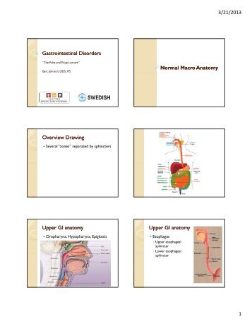 3/21/2013 1 Gastrointestinal Disorders Overview Drawing Upper GI ...