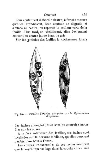 MALADIES - Biblioteca Digital de Obras Raras e Especiais - USP