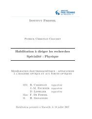 pdf (French) - Institut Fresnel