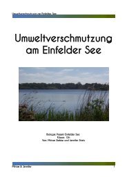 4. Umweltverschmutzung am Einfelder See