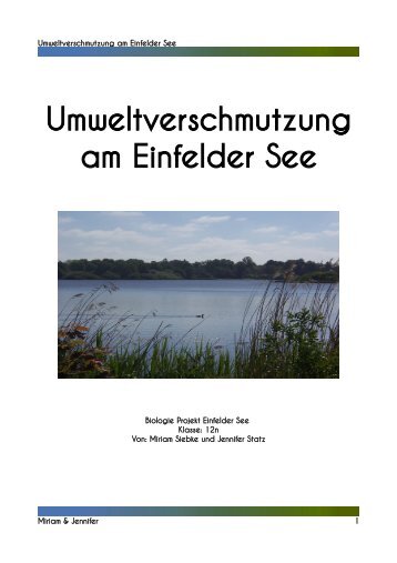 4. Umweltverschmutzung am Einfelder See