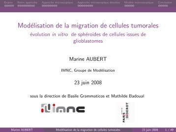 Modélisation de la migration de cellules tumorales - évolution ... - TEL