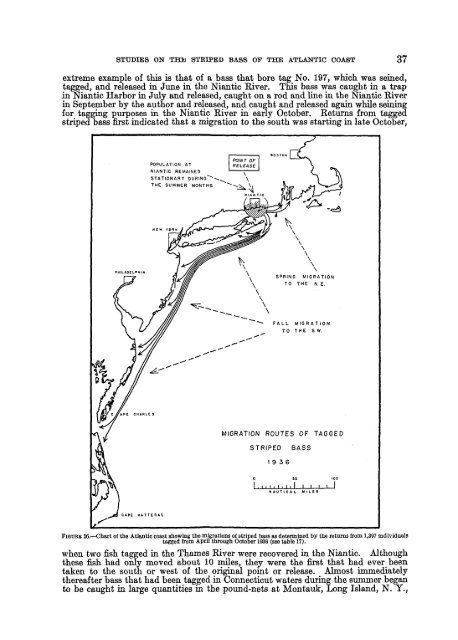 Fishery bulletin of the Fish and Wildlife Service - NOAA