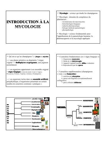 INTRODUCTION À LA MYCOLOGIE