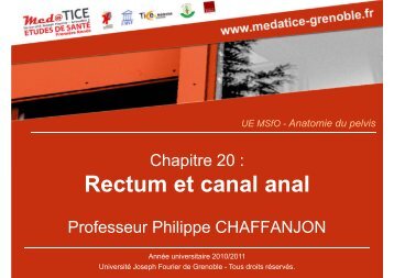 Rectum et canal anal - Université Virtuelle Paris 5