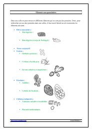 Elements non parasitaires - Arnobio2