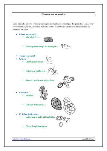 Elements non parasitaires - Arnobio2