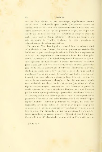 Éxpeditions scientifiques du Travailleur et du Talisman pendant les ...