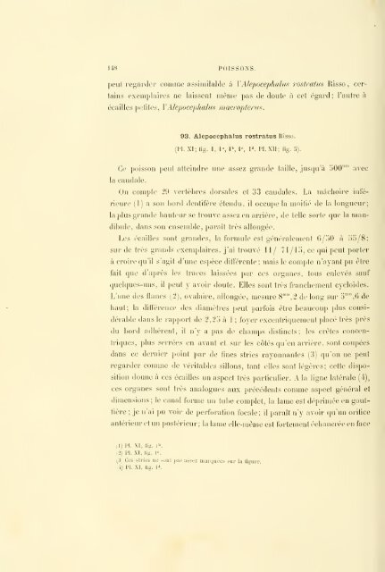 Éxpeditions scientifiques du Travailleur et du Talisman pendant les ...