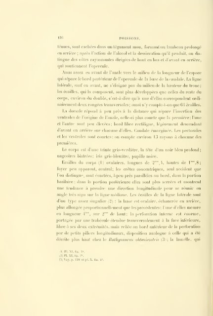 Éxpeditions scientifiques du Travailleur et du Talisman pendant les ...