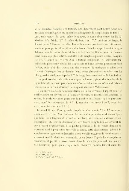 Éxpeditions scientifiques du Travailleur et du Talisman pendant les ...