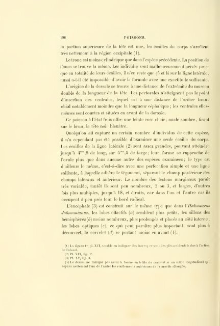 Éxpeditions scientifiques du Travailleur et du Talisman pendant les ...