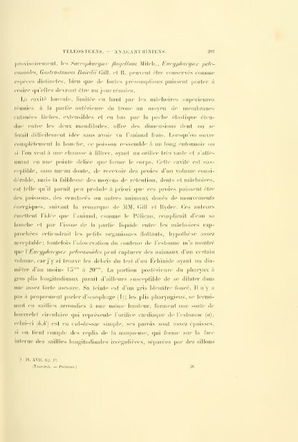 Éxpeditions scientifiques du Travailleur et du Talisman pendant les ...