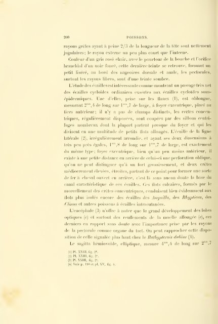 Éxpeditions scientifiques du Travailleur et du Talisman pendant les ...