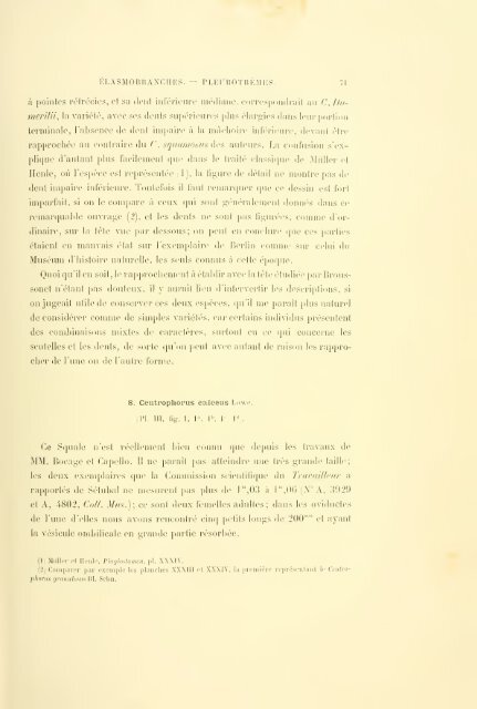 Éxpeditions scientifiques du Travailleur et du Talisman pendant les ...