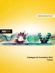 ANSYS® Thermique