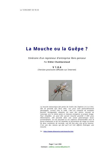 Profil de datation de PNL