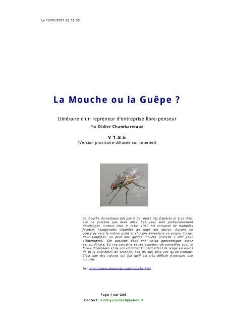 La Mouche ou la Guêpe ? - Manager Repreneur