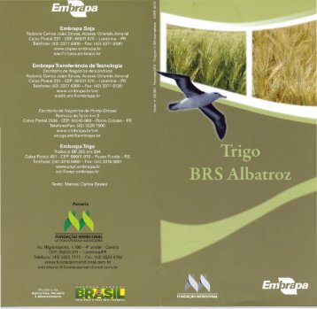 Trigo BRS Albatroz - Ainfo - Embrapa