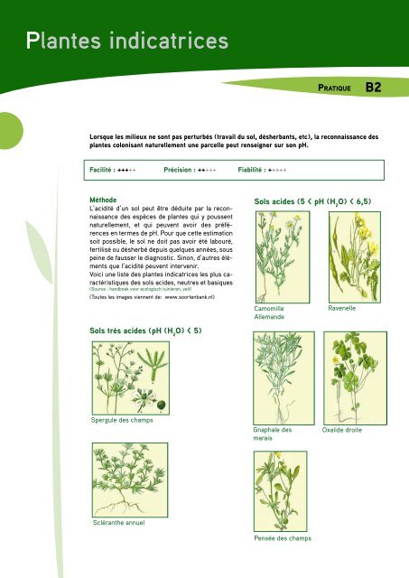 Plantes indicatrices - Prosensols