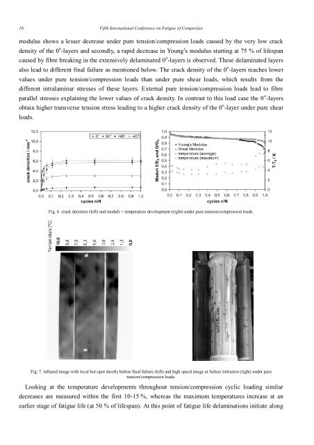 Fatigue behaviour of composite tubes under multiaxial loading