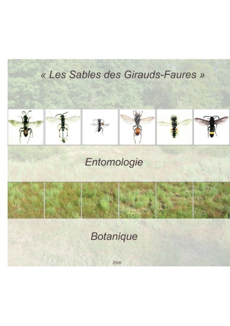 Hyménoptères prédateurs des Sables des Girauds-Faures