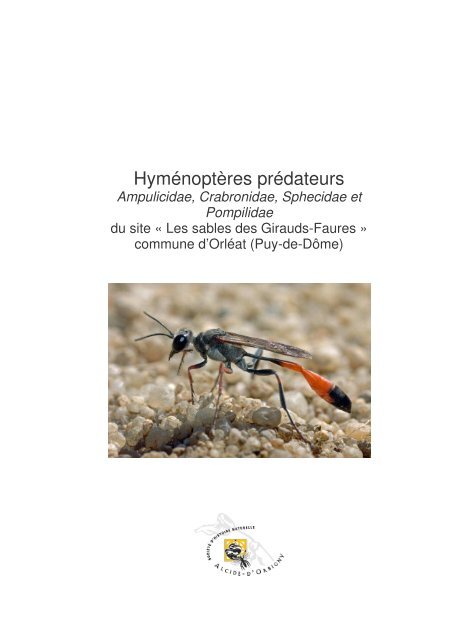 Hyménoptères prédateurs des Sables des Girauds-Faures