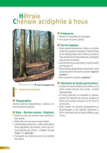 Les MiLieux D'iNTéRÊT PATRiMoNiAL De LA FoRÊT bReToNNe