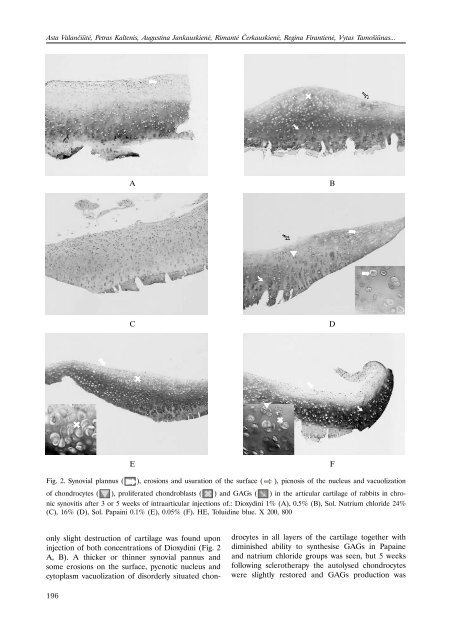 Screening of Sclerosing Agents Introduced Intraarticularly for ...