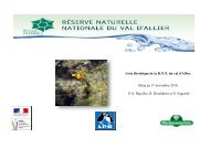 Liste floristique de la RNN du Val d'Allier. Dejaifve ... - Lpo Auvergne