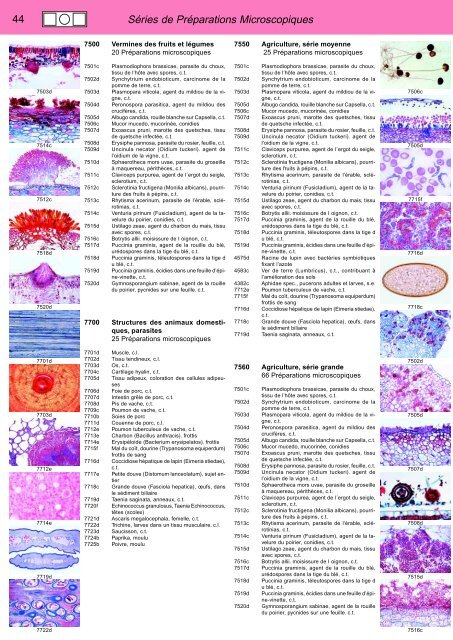 CATALOGUE BIOLOGIE no. 32F Taille du fichier: 9,0Mo - Lieder.de