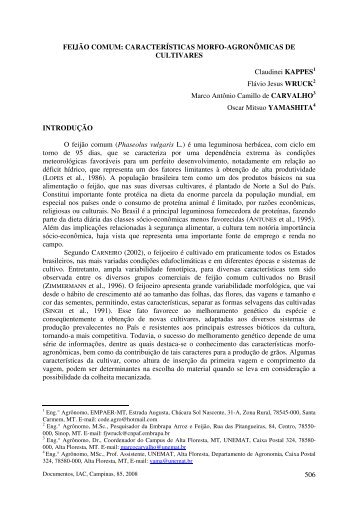 CARACTERÍSTICAS MORFO-AGRONÔMICAS ... - Ainfo - Embrapa