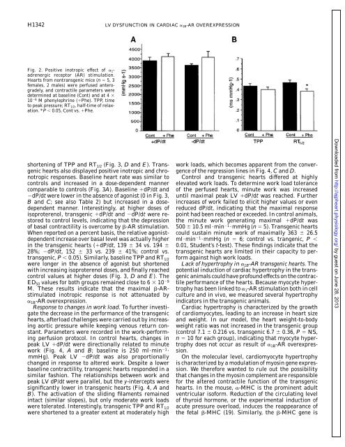 Overexpression of 1B-adrenergic receptor induces left ventricular ...