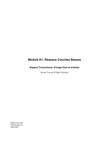 Module A1: Réseaux Couches Basses - Lirmm