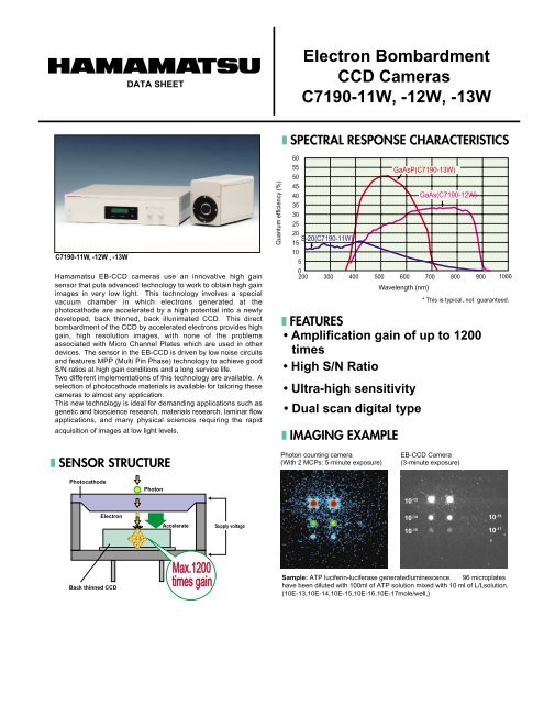 Electron Bombardment CCD Cameras C7190-11W, -12W, -13W