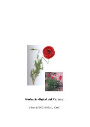 Herbario digital del Cerrato.