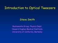 Steve Smith - Bustamante Group - University of California, Berkeley