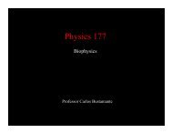 Physics 177