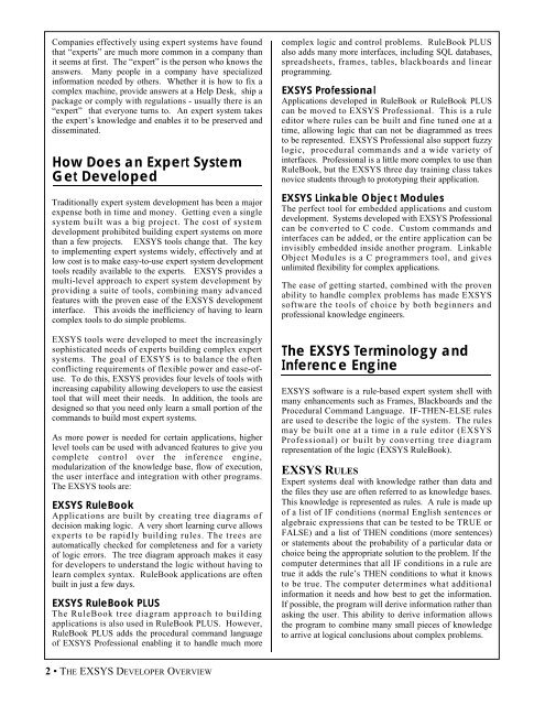 EXSYS Professional Developer Interface