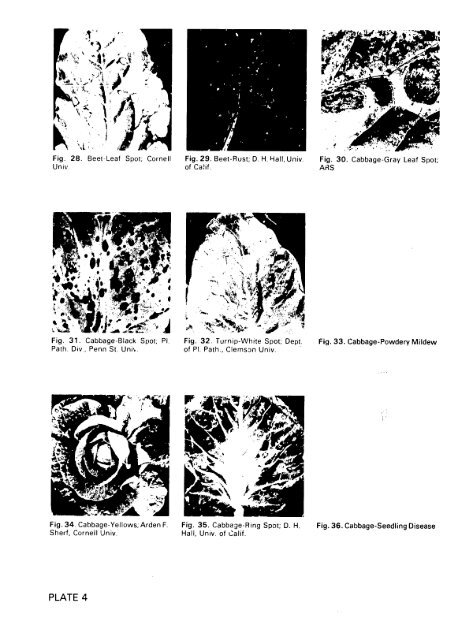 multilingual compendium of plant diseases