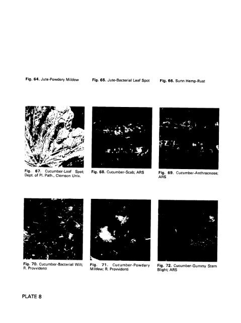 multilingual compendium of plant diseases